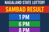 Nagaland State Lottery Sambad Result 29.10.2025 Today 1 PM, 6 PM, and 8 PM
