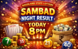 Nagaland State Lottery Sambad Night Result 9.2.2026 Today 8 PM